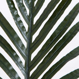 4’ Artificial Double Stalk Golden Cane Palm Tree- Set of 2-Tree-Parc Decor