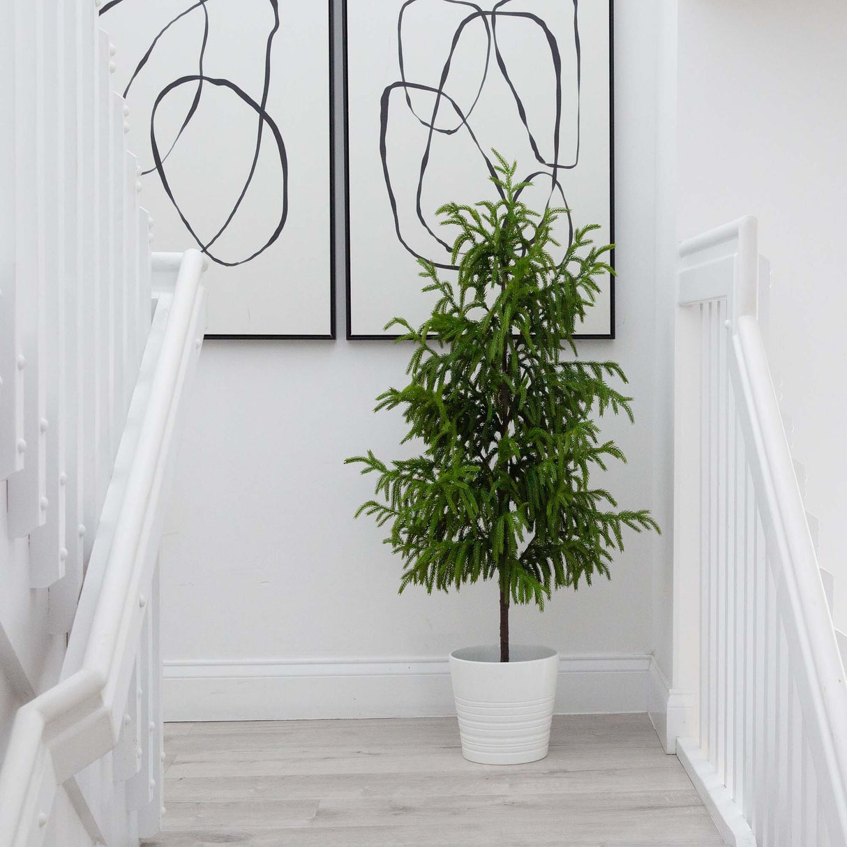 4' Artificial Norfolk Pine Tree-Christmas Tree-Parc Decor