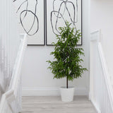 4' Artificial Norfolk Pine Tree-Christmas Tree-Parc Decor