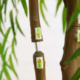 4’ Artificial Willow Tree (Real Touch)-Tree-Parc Decor