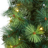 4' Assorted Green Scotch Pine Artificial Christmas Tree with 70 LED Lights-Christmas Tree-Parc Decor