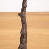 4' Autumn Rustic Maple Artificial Fall Tree-Tree-Parc Decor