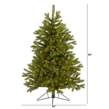 4' Cambridge Spruce Flat Back Artificial Christmas Tree with 100 Warm White (Multifunction) LED Lights and 221 Bendable Branches-Christmas Tree-Parc Decor