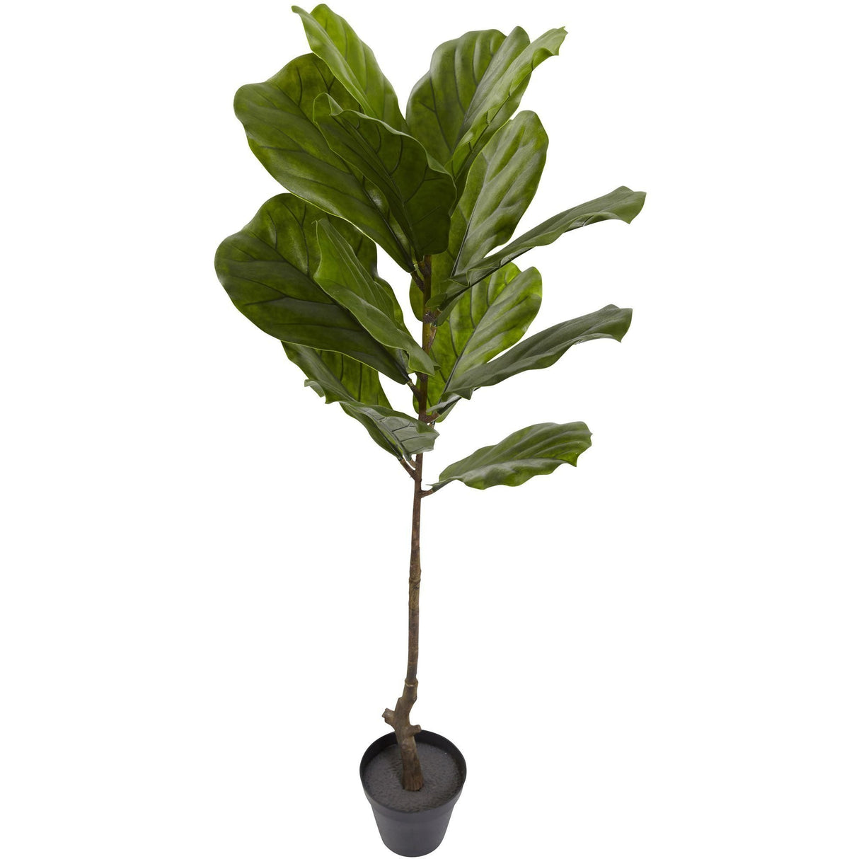 4’ Fiddle Leaf Tree UV Resistant (Indoor/Outdoor)-Tree-Parc Decor