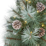 4’ Frosted Tip British Columbia Mountain Pine Artificial Christmas Tree with 100 Clear Lights, Pine Cones and 228 Bendable Branches-Christmas Tree-Parc Decor