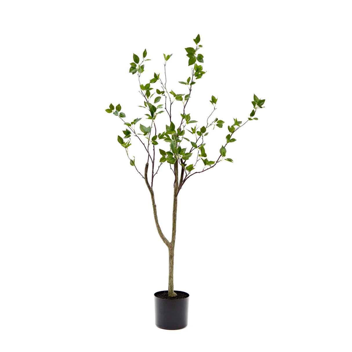 4' Minimalist Citrus Artificial Tree-Tree-Parc Decor