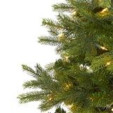 4’ North Carolina Spruce Artificial Christmas Tree with 100 Clear Lights and 207 Bendable Branches-Christmas Tree-Parc Decor