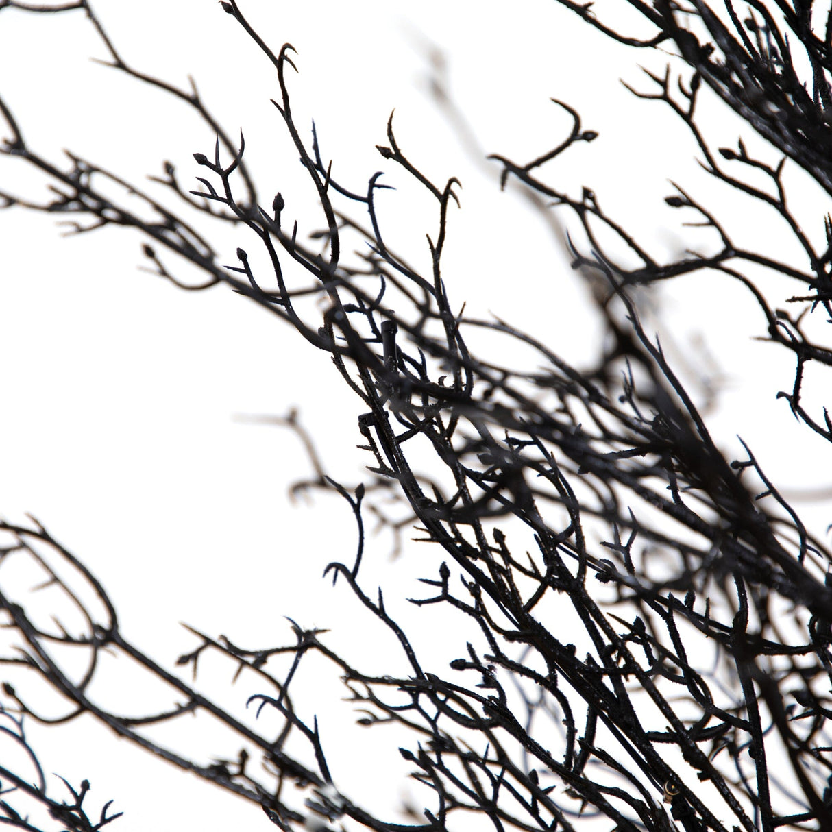 4’ Pre-Lit Halloween Black Twig Artificial Fall Tree in Burlap Planter with 63 Warm White LED Lights-Tree-Parc Decor