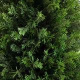 4’ UV Resistant Artificial Cedar Tree in Decorative White Planter (Indoor/Outdoor)-Tree-Parc Decor