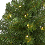 4’ Virginia Fir Artificial Christmas Tree with 100 Clear Lights and 223 Bendable Branches-Christmas Tree-Parc Decor