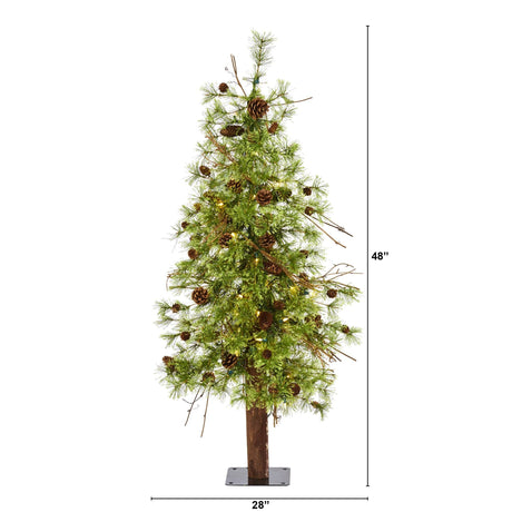 4' Wyoming Alpine Artificial Christmas Tree with 50 Clear (multifunction) LED Lights and Pine Cones on Natural Trunk-Christmas Tree-Parc Decor