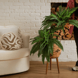 40” Artificial Boston Fern (Set of 2)-Parc Decor