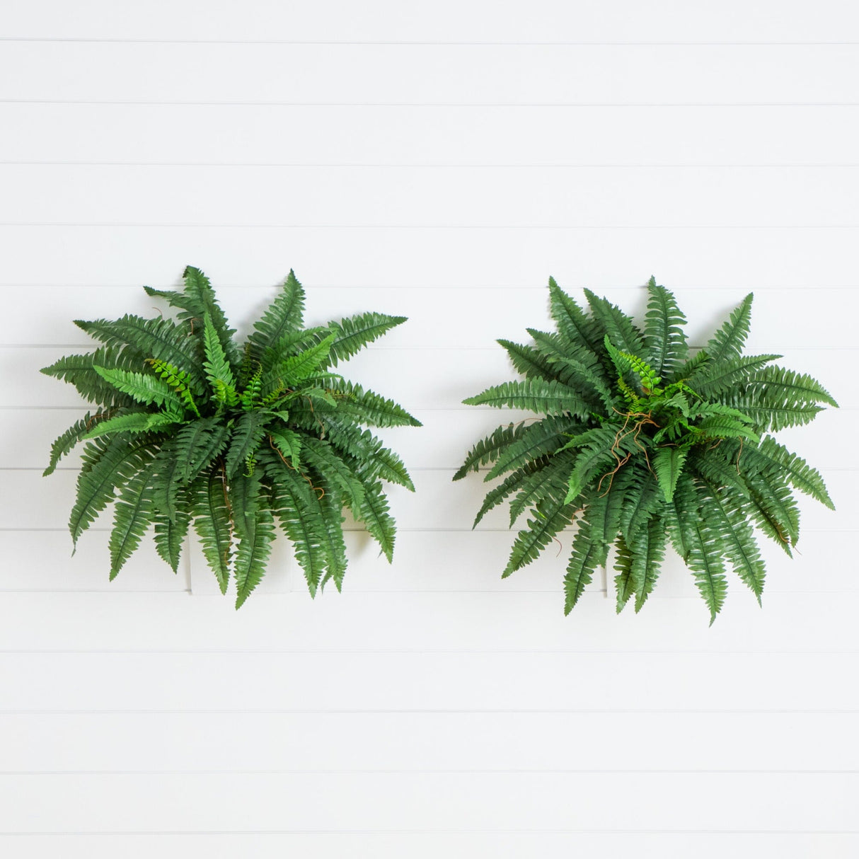 40” Artificial Boston Fern (Set of 2)-Parc Decor