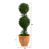 40” Boxwood Double Ball Topiary Artificial Tree in Terra-Cotta Planter (Indoor/Outdoor)-Parc Decor