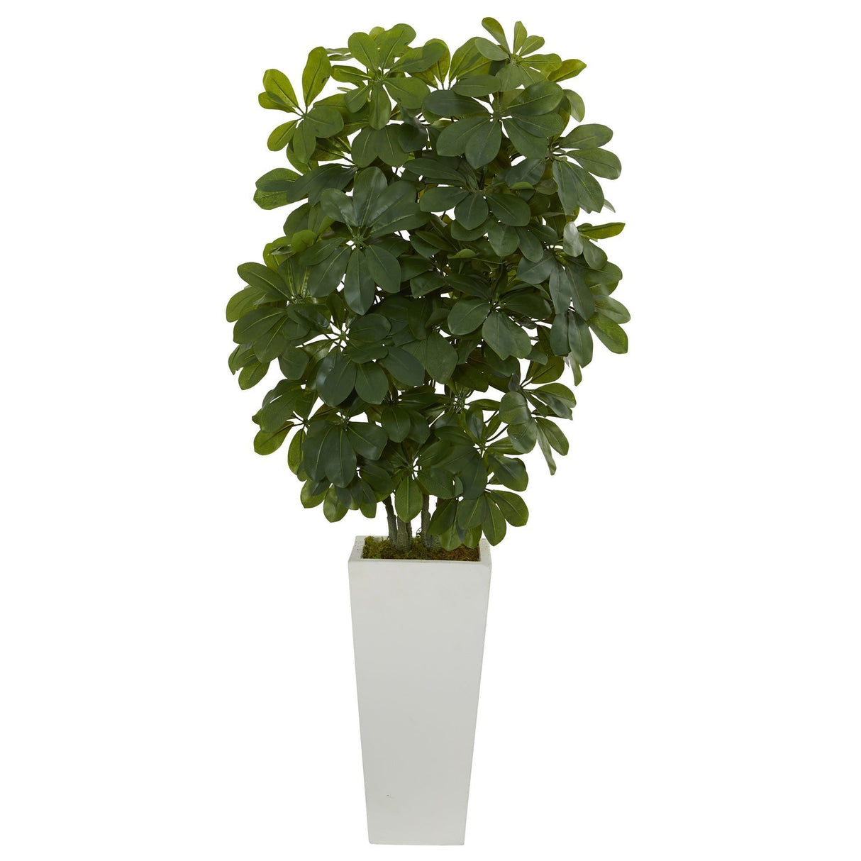 40” Schefflera Artificial Plant in White Vase (Real Touch)-Parc Decor