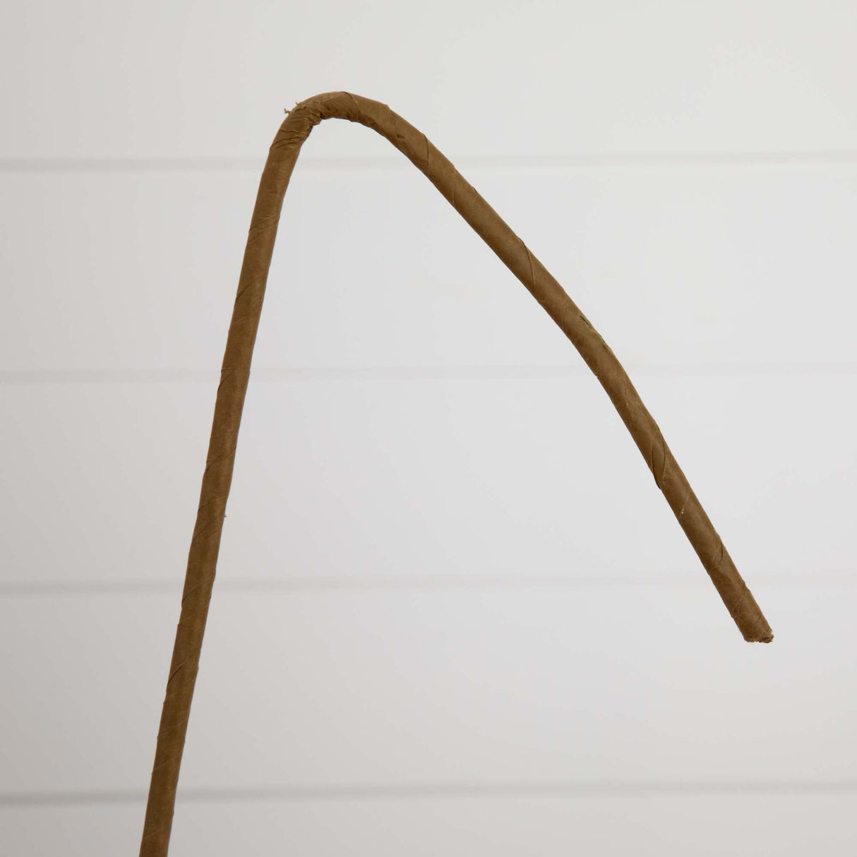 40" Artificial Eucalyptus Stems - Set of 3-Stem-Parc Decor