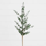 40" Artificial Eucalyptus Stems - Set of 3-Stem-Parc Decor