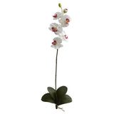 40” Large Orchid Phalaenopsis Artificial Flower (Set of 3)-Stem-Parc Decor