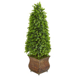 41” Eucalyptus Cone Topiary Artificial Tree in Classic Planter (Indoor/Outdoor)-Parc Decor