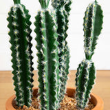 41” Artificial Cactus in Terracotta Planter-Plant in Planter-Parc Decor