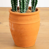 41” Artificial Cactus in Terracotta Planter-Plant in Planter-Parc Decor