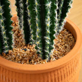 41” Artificial Cactus in Terracotta Planter-Plant in Planter-Parc Decor
