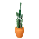 41” Artificial Cactus in Terracotta Planter-Plant in Planter-Parc Decor