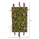 41” x 19” Mixed Succulent Artificial Living Wall-Parc Decor