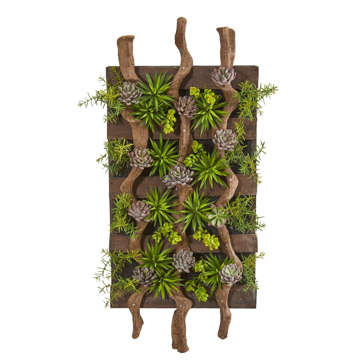 41” x 19” Mixed Succulent Artificial Living Wall-Parc Decor
