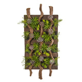 41” x 19” Mixed Succulent Artificial Living Wall-Parc Decor