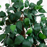 44” Ficus Tree w/Decorative Planter-Parc Decor