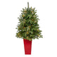 44” Snowed Grand Teton Fir Artificial Christmas Tree with 50 Clear Lights and 111 Bendable Branches in Red Planter-Christmas Tree-Parc Decor