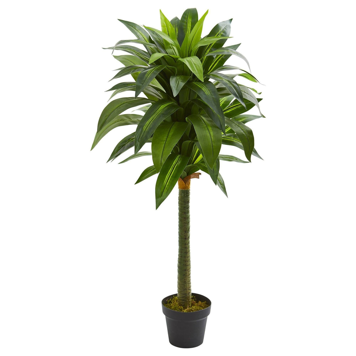 45” Dracaena Artificial Plant-Parc Decor