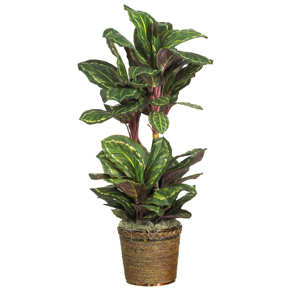 45" Maranta Silk Plant"-Parc Decor