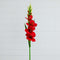 45" Artificial Gladiolus Flower Stems - Set of 3-Stem-Parc Decor