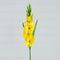 45" Artificial Gladiolus Flower Stems - Set of 3-Stem-Parc Decor