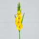 45" Artificial Gladiolus Flower Stems - Set of 3-Stem-Parc Decor