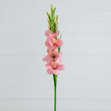 45" Artificial Gladiolus Flower Stems - Set of 3-Stem-Parc Decor