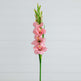 45" Artificial Gladiolus Flower Stems - Set of 3-Stem-Parc Decor