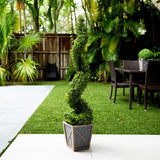 45” UV Resistant Artificial Boxwood Spiral Topiary Tree with LED Lights in Decorative Planter (Indoor/Outdoor)-Tree-Parc Decor