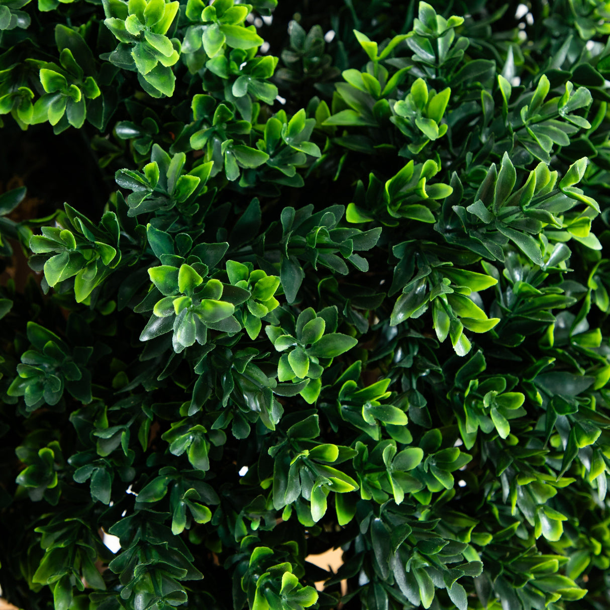 46” Boxwood Artificial Topiary Tree UV Resistant (Indoor/Outdoor)-Parc Decor