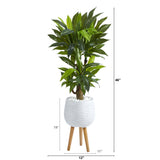 46” Corn Stalk Dracaena Artificial Plant in White Planter with Stand (Real Touch)-Parc Decor