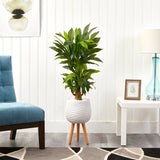 46” Corn Stalk Dracaena Artificial Plant in White Planter with Stand (Real Touch)-Parc Decor