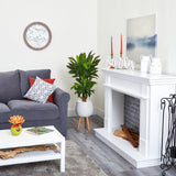 46” Corn Stalk Dracaena Artificial Plant in White Planter with Stand (Real Touch)-Parc Decor