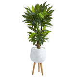 46” Corn Stalk Dracaena Artificial Plant in White Planter with Stand (Real Touch)-Parc Decor
