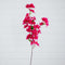 47" Artificial Bougainvillea Flower Stems - Set of 3-Stem-Parc Decor