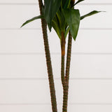 48" Dracaena Silk Plant (Real Touch)-Parc Decor