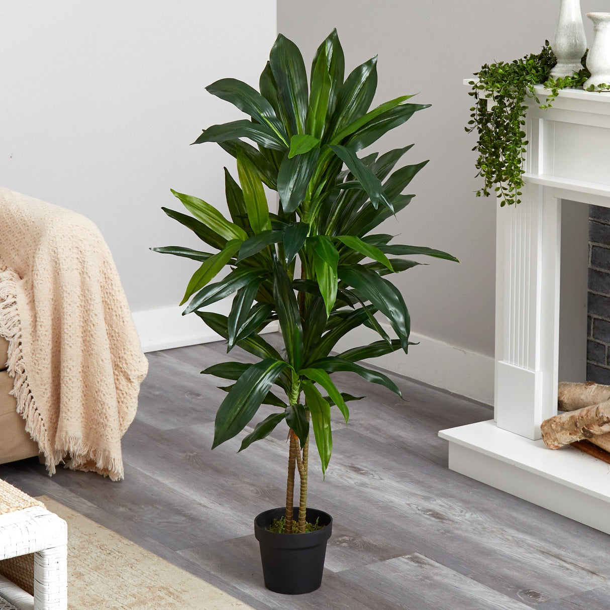 48" Dracaena Silk Plant (Real Touch)-Parc Decor