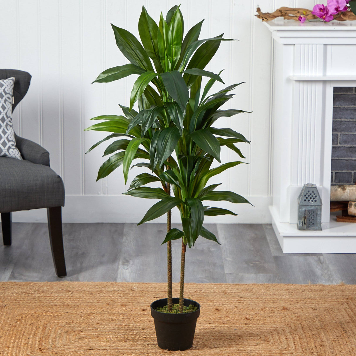 48" Dracaena Silk Plant (Real Touch)-Parc Decor