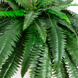 48” Boston Fern (Set of 2)-Plant-Parc Decor
